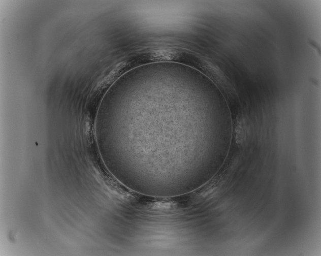 X0000102460314200808081233