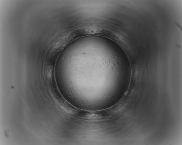 X0000102460315200808081233