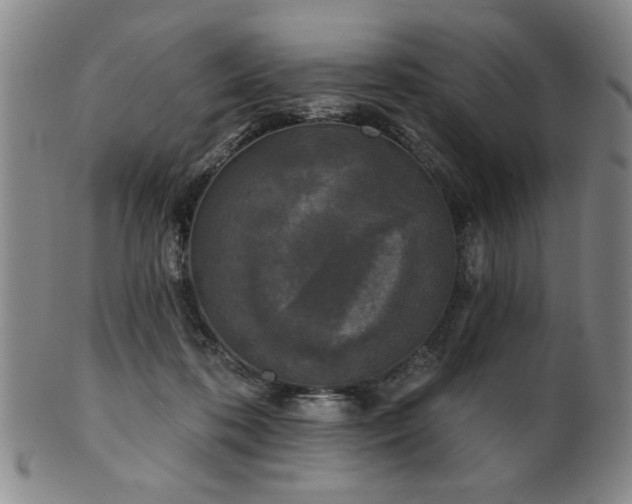 X0000102460316200808081233