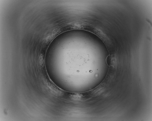 X0000102460318200808081233