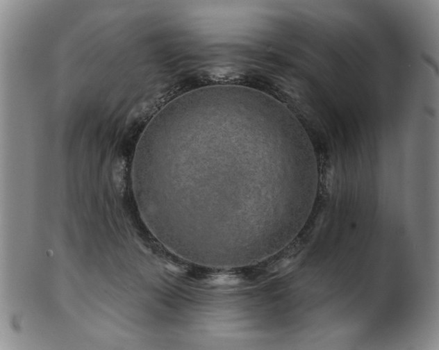 X0000102460319200808081233