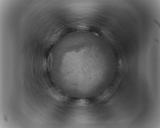 X0000102460320200808081233