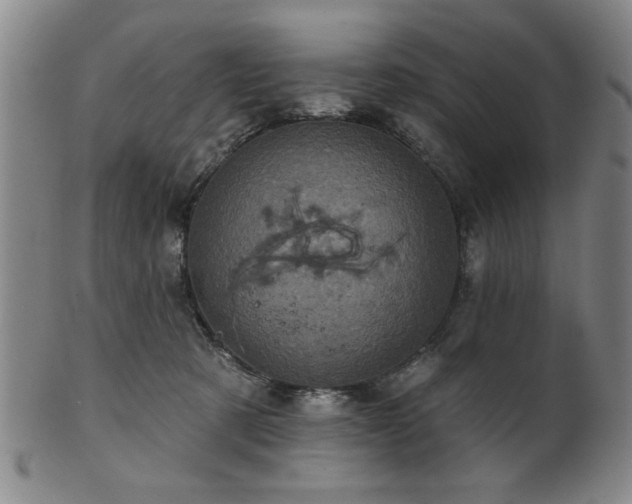 X0000102460321200808081233