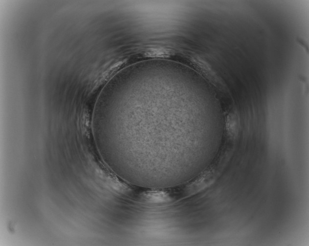 X0000102460322200808081233