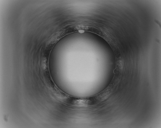 X0000102460323200808081233