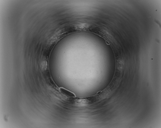 X0000102460324200808081233