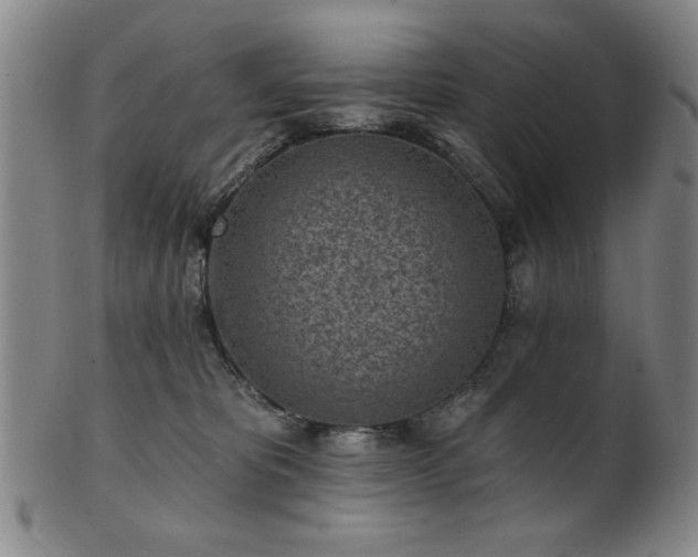 X0000102460325200808081233