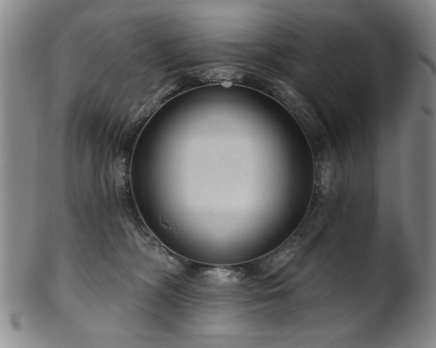 X0000102460326200808081233