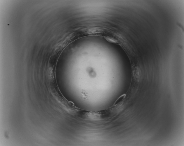 X0000102460327200808081233