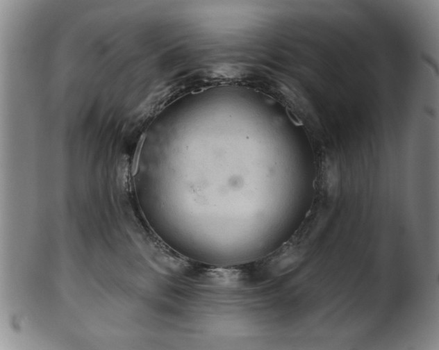 X0000102460328200808081233