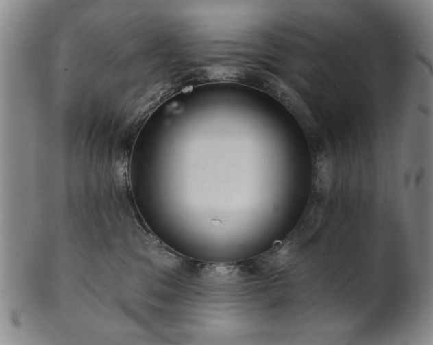 X0000102460329200808081233