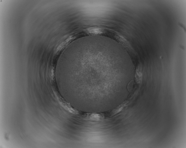 X0000102460330200808081233