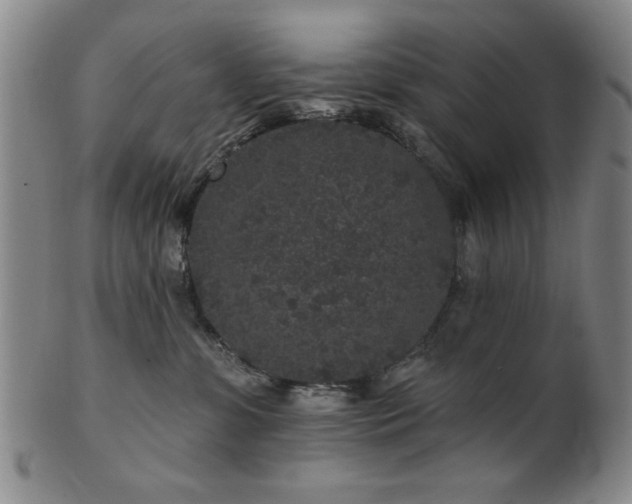 X0000102460331200808081233