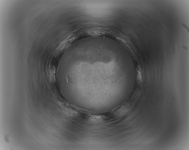 X0000102460332200808081233