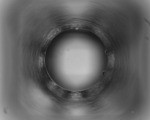 X0000102460333200808081233