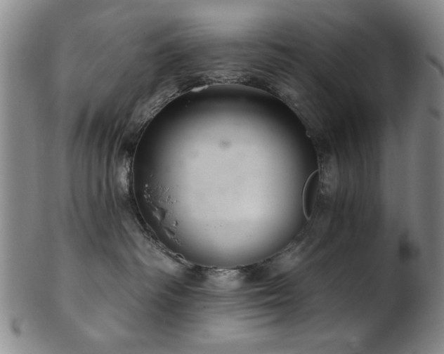 X0000102460334200808081233