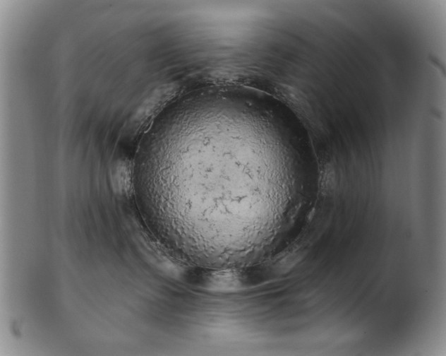 X0000102460335200808081233