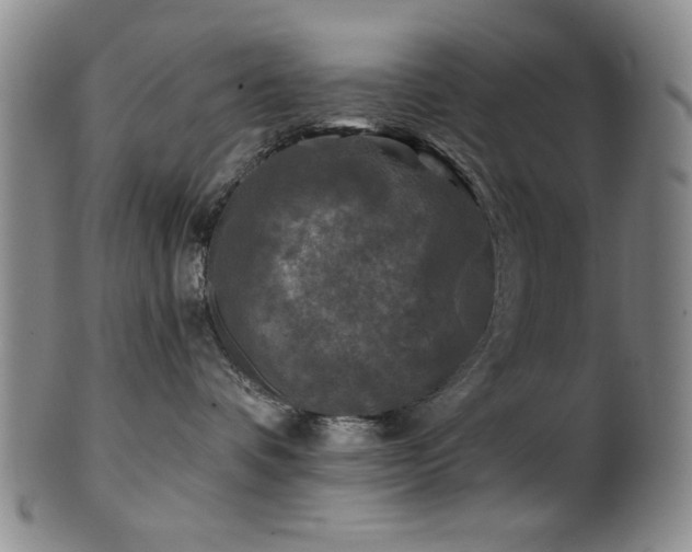 X0000102460336200808081233