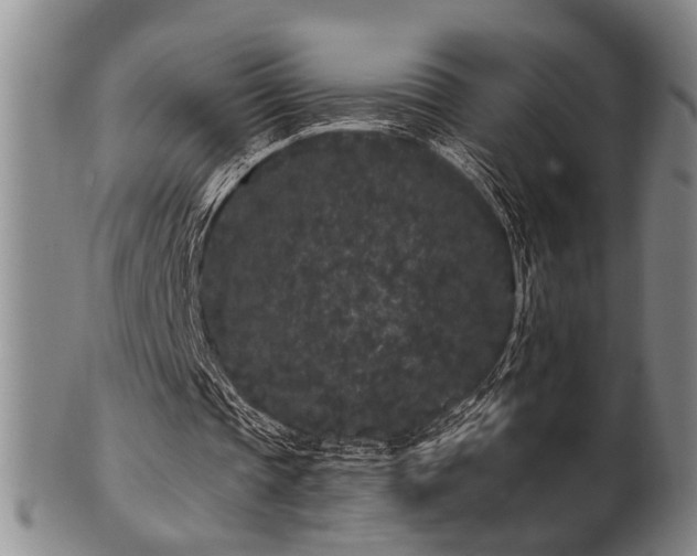 X0000102460337200808081232