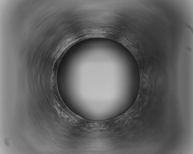 X0000102460338200808081232