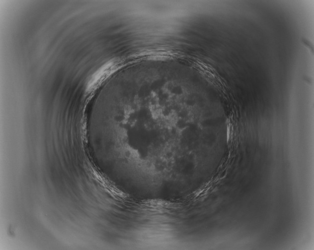 X0000102460339200808081232