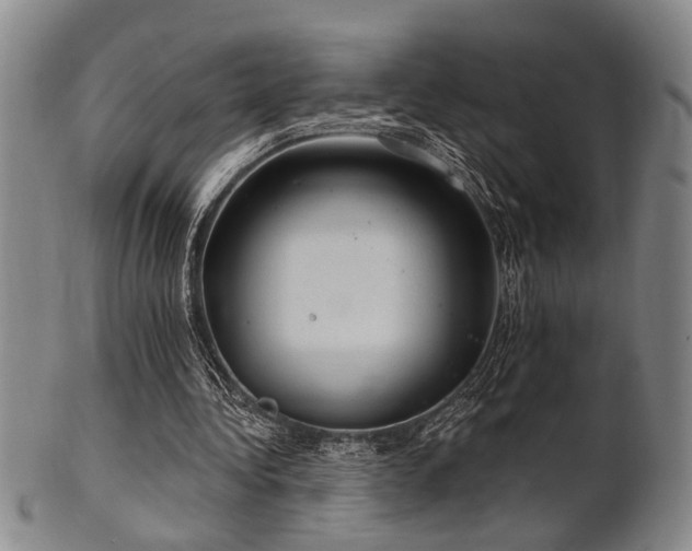 X0000102460340200808081232