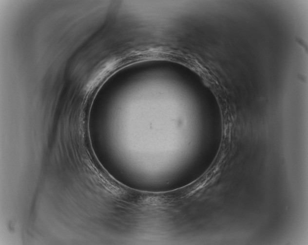 X0000102460341200808081232