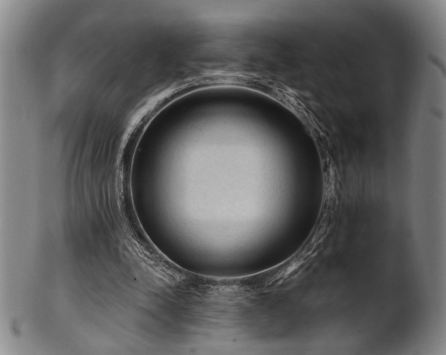 X0000102460342200808081232