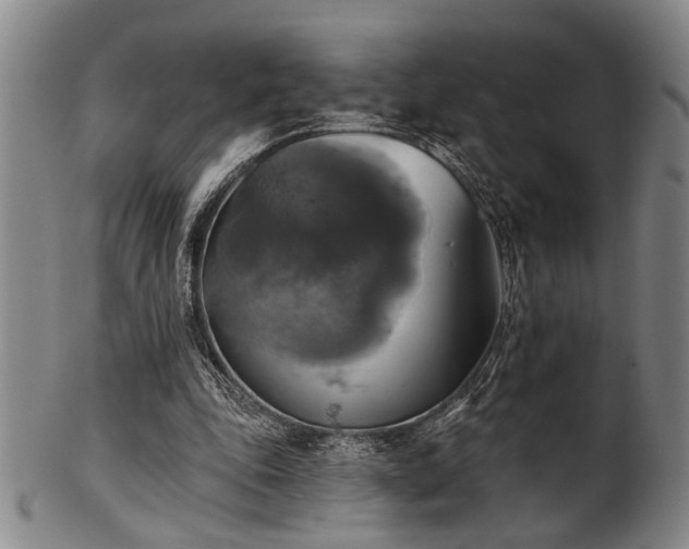 X0000102460343200808081232