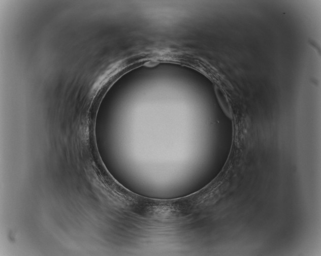 X0000102460344200808081232