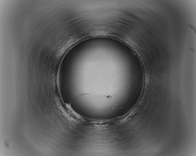 X0000102460345200808081232