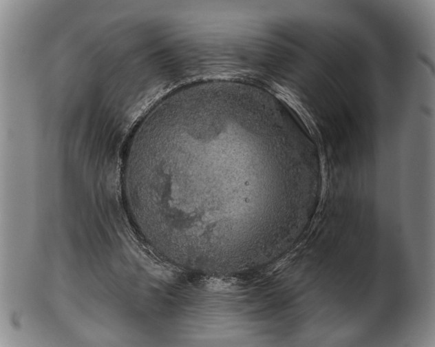 X0000102460346200808081232