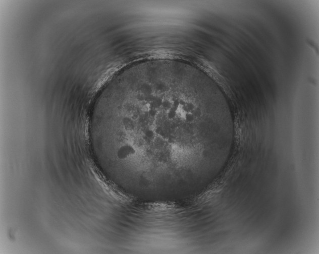 X0000102460347200808081232