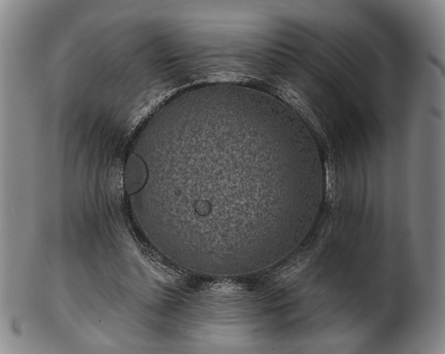 X0000102460348200808081232