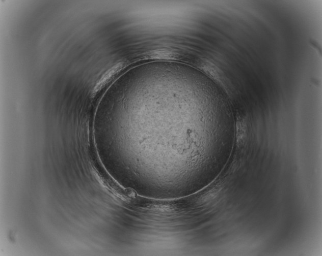 X0000102460349200808081232