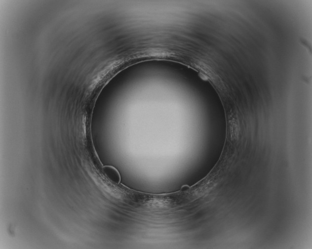 X0000102460350200808081232