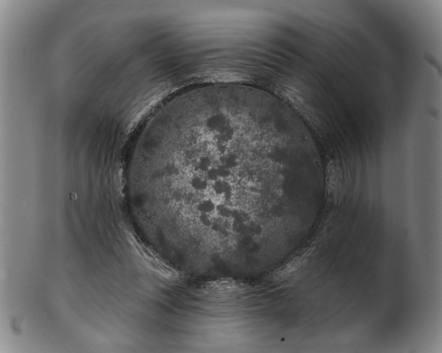 X0000102460351200808081232