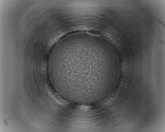 X0000102460352200808081232