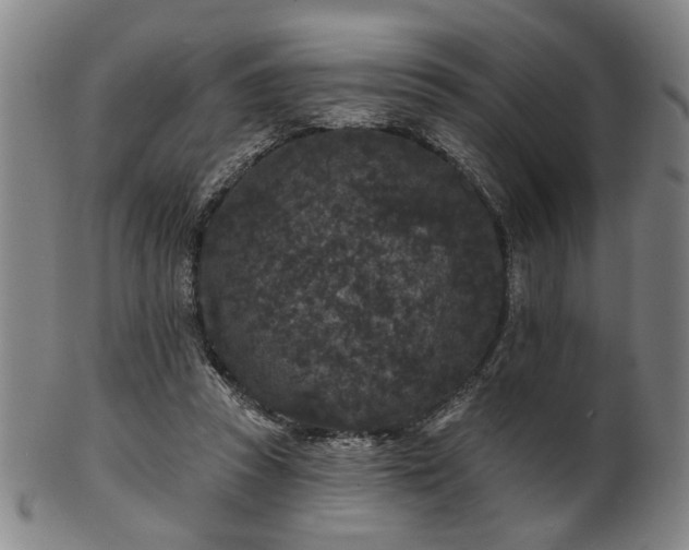 X0000102460353200808081232