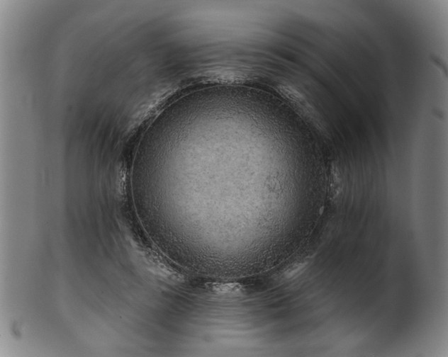 X0000102460355200808081232