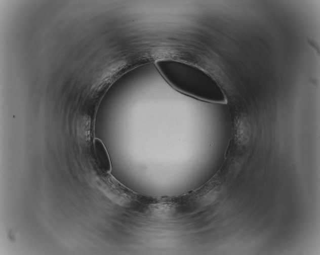 X0000102460356200808081232