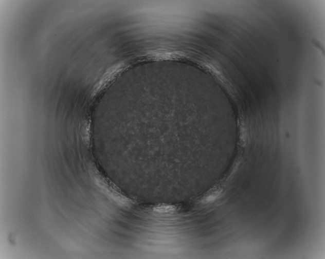 X0000102460357200808081232