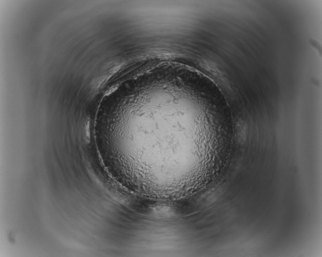 X0000102460358200808081232