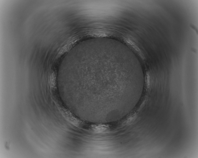 X0000102460359200808081232