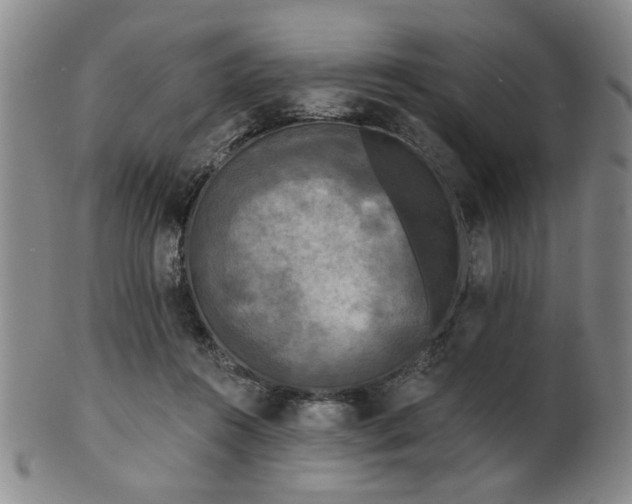 X0000102460360200808081232