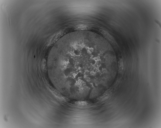 X0000102460361200808081232