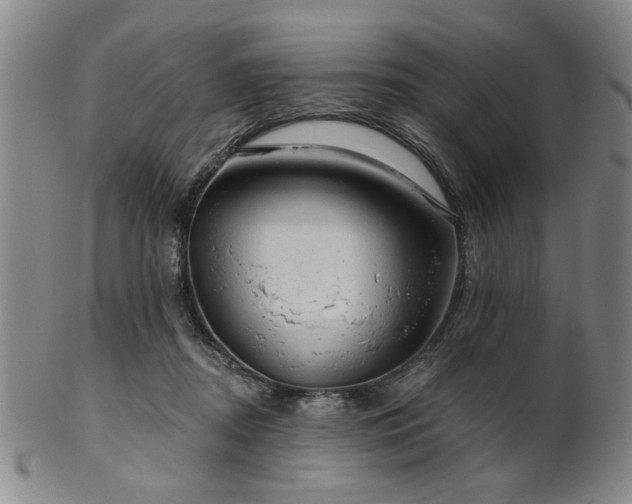 X0000102460362200808081232