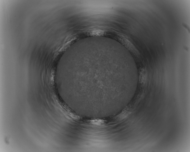 X0000102460363200808081232