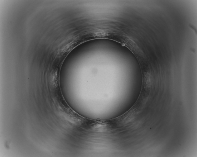 X0000102460364200808081232