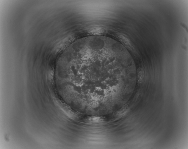 X0000102460365200808081232